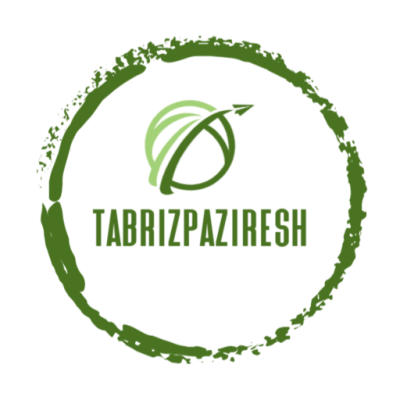 لوگوی تبریز پذیرش